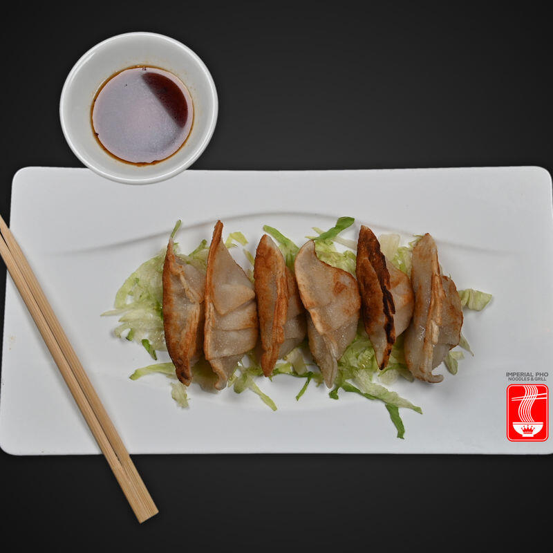 Gyoza-Chicken Dumpling
